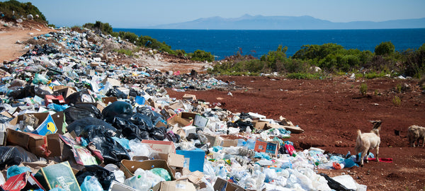 Mountains of plastic trash found near the ocean. Photo by Antoine GIRET on Unsplash