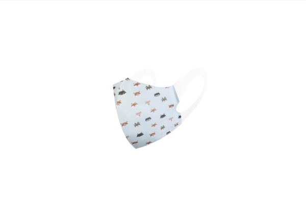 Airllo Kids Mask - Fox Blue (washable & reusable)